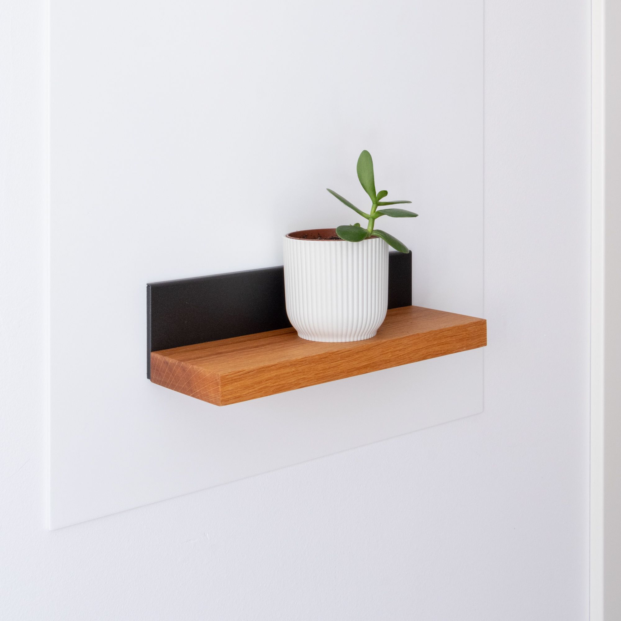 Magnetisches Holzregal mit schwarzer Rückwand und kleiner Pflanze an der Wand