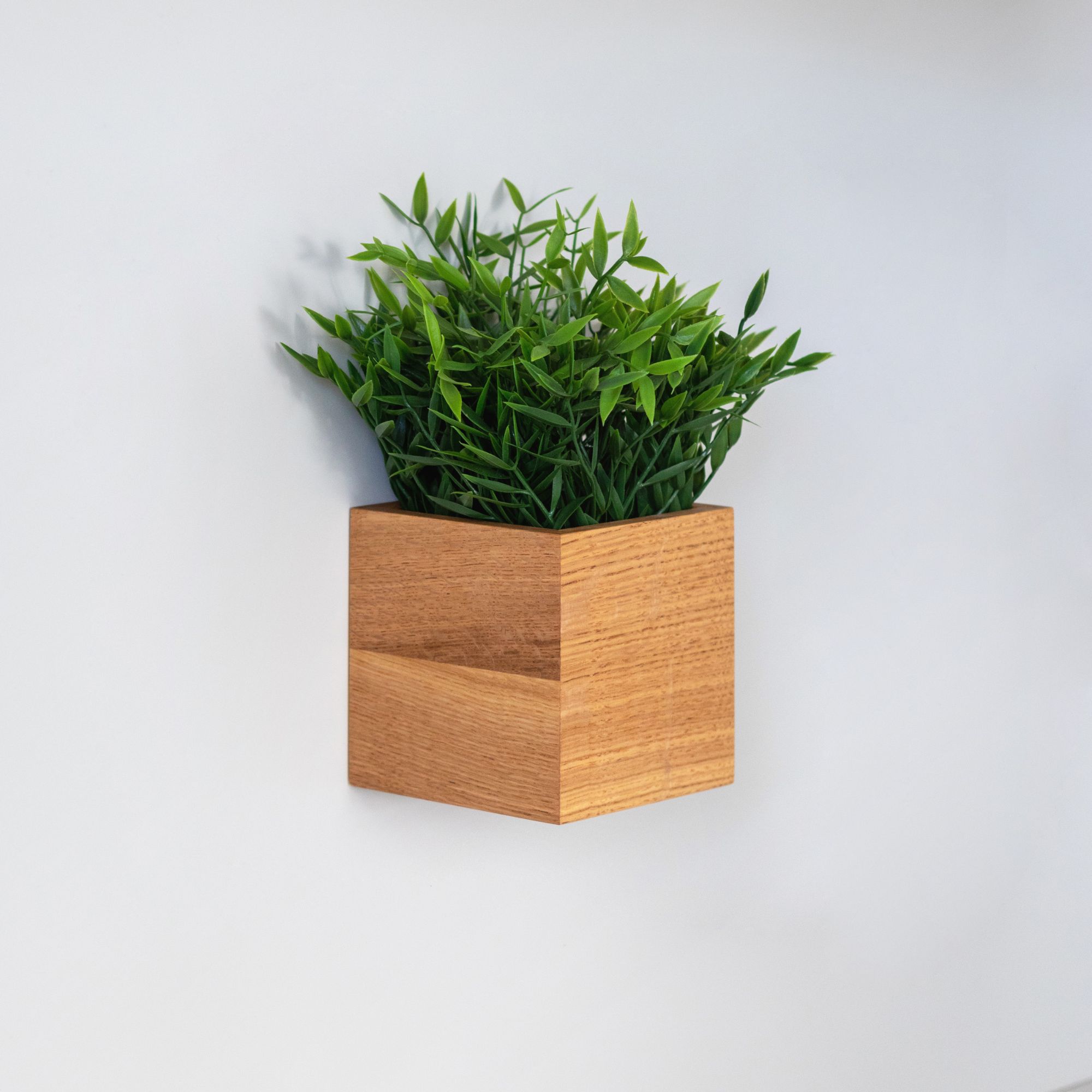 Magnetischer Holztopf mit grünen Kräutern an der Wand